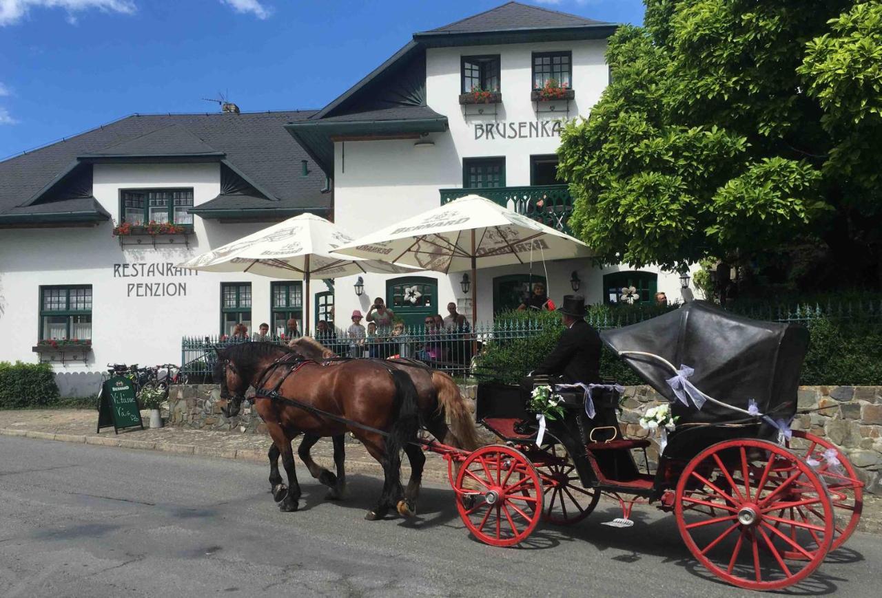 Pension Brusenka Bystřice pod Hostýnem Buitenkant foto